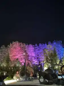 Vsesezonnyy kurort Manzherok - 68