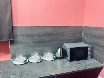 Samsonov Mini-on Stachek Avenue - 17