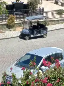 Dolphin Apart & - 14