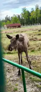 Complex Kamenyuky - 69