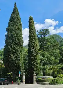 Grand Villa Castagnola - 7