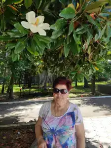 Wellness Park All-Inclusive - 31