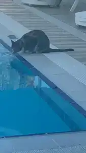 Sandy Beach - All Inclusive - 20