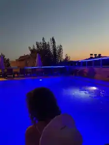 Mogons Exclusive - 3