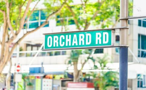 81 Orchid Singapore - 18