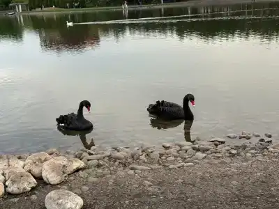 Muller Bach Apart-Hotel - 26