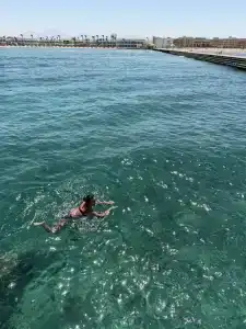 Sunrise Alma Bay Resort - 29