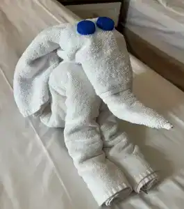 Fame Residence Kemer & Spa - 38