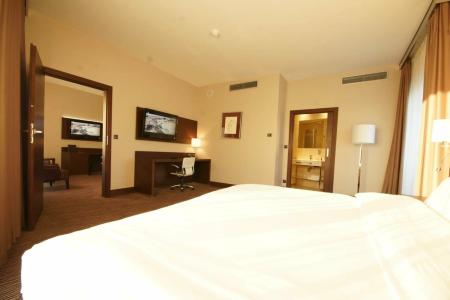 Copernicus Torun - 81