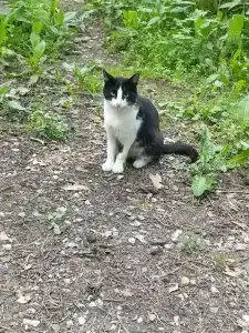 Peski country club - 38