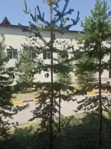 Sanatoriy Kazakhstan - 46