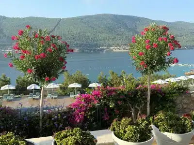 Titanic Luxury Collection Bodrum - 14