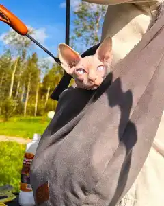 Nekrasovo Tourist base - 57