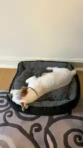 Астория Rocco Forte - 93