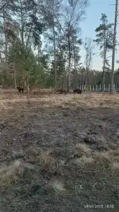 Complex Kamenyuky - 91