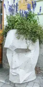 Solo Sokos Vasilievsky - 69