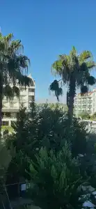 Orfeus Queen Spa - 50