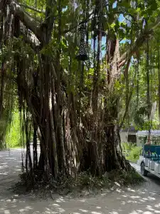 Berjaya Beau Vallon Bay Resort & Casino - 21