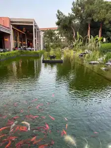 Ela Excellence Resort Belek - 32