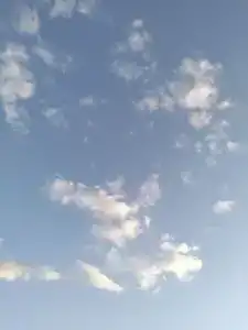 Recreation center "Zolotye berega" - 19