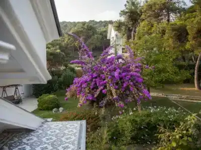 Triada Büyükada - 17