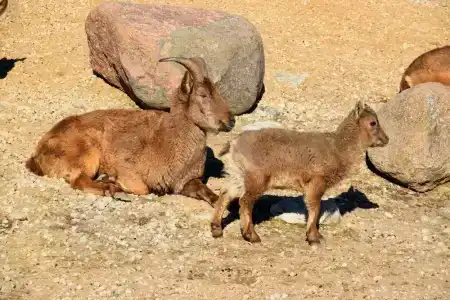 Ibis Tallinn Center - 12