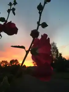 Agrousadba Lyavoniha - 37