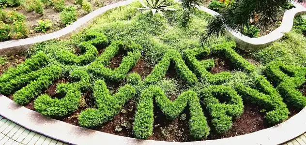 Pansionat izumrud Health resort - 33