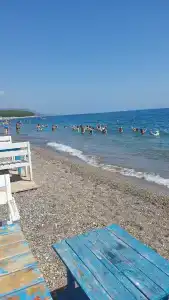 Elamir Felizya - 29
