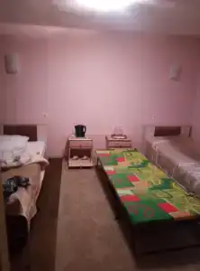 Belovezhskaya pushcha №2 - 25