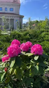 Novyy Hersones - 16