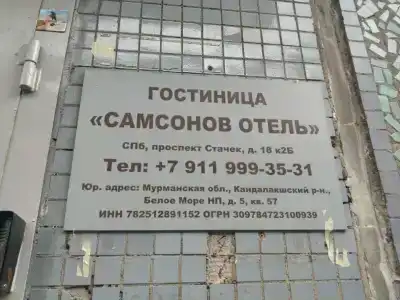 Samsonov Mini-on Stachek Avenue - 13