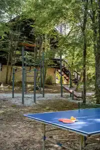 Green Wood - 9