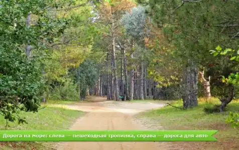 Recreation center Liliya - 14