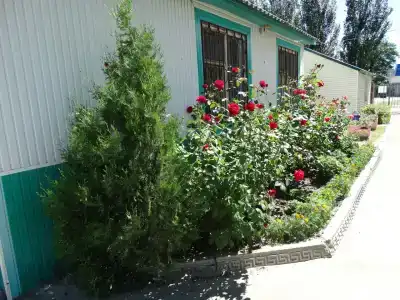 Peschanaya kosa Tourist base - 18