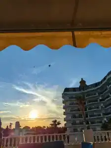 Asteria Bloom Side - 20