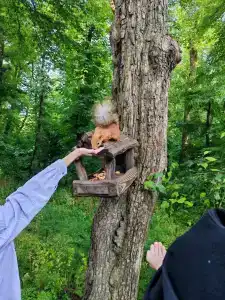 Istochnik Zheleznovodsk Health resort - 49