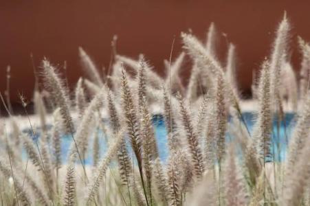 Labranda Rose Aqua Parc - 11