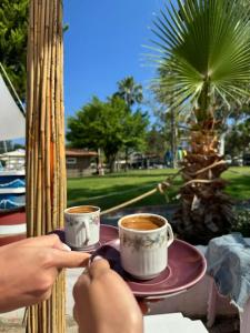 Asdem Park Otel - 52