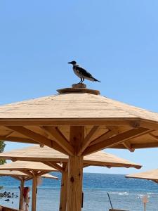 Mercure Hurghada - 68