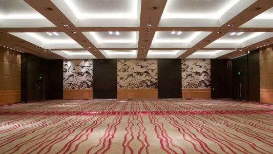 Park Plaza London Riverbank - 53