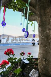 B&B Yuzbasi Beach - 18