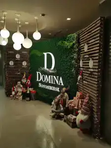 Домина Новосибирск - 83
