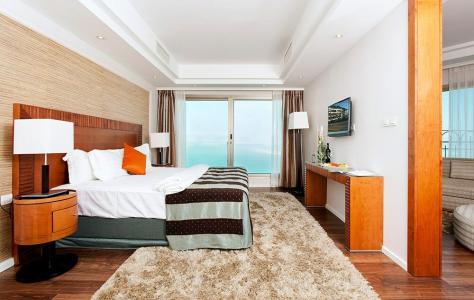 Brown Dead Sea - 0