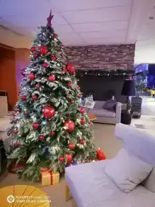 MERCURE Роза Хутор - 59