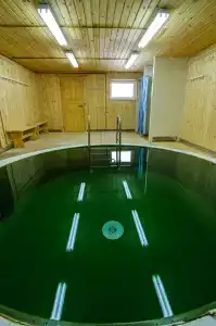 Baza Otdyha Lesnaya - 8