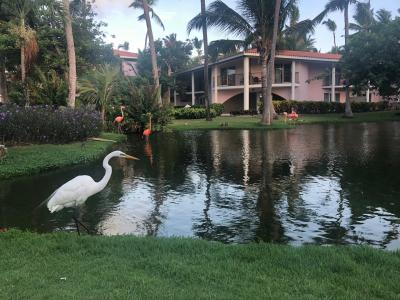 Natura Resorts - 15