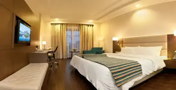 Howard Plaza The Fern, Agra - 76