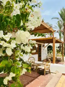 Sharm Resort - All Inclusive - 45