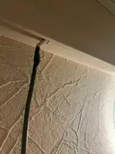 Na Chelyabinskom Trakte - 36